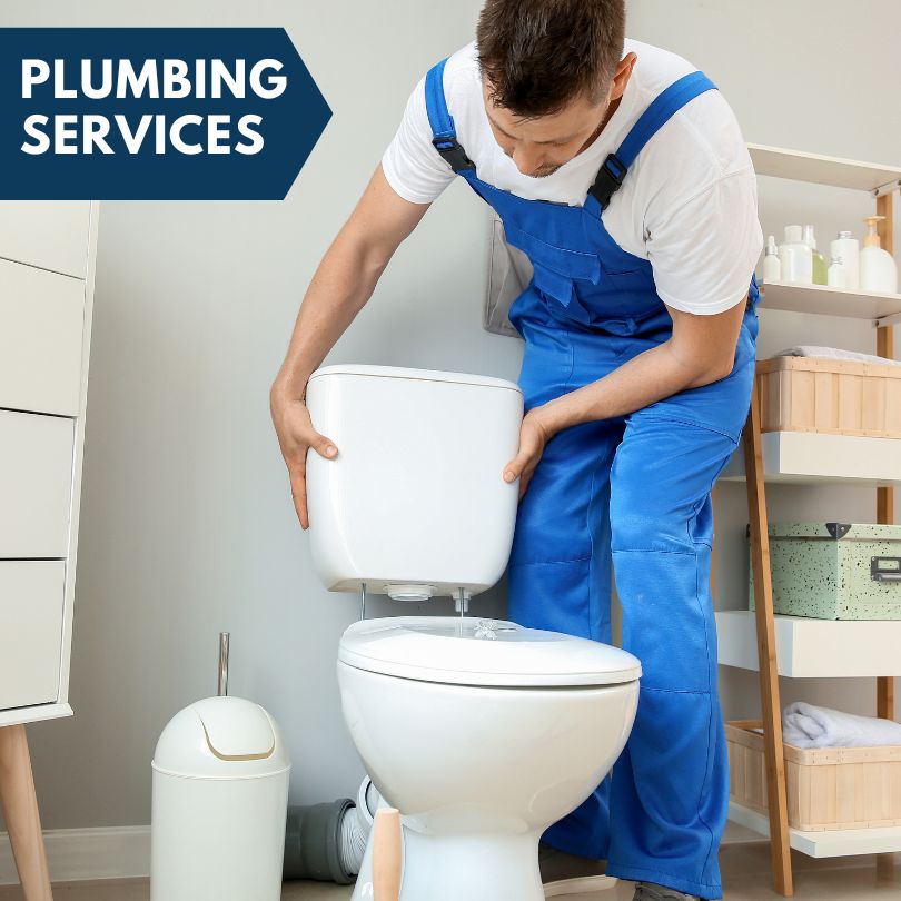 Plumbing Company in Dalzell, IL