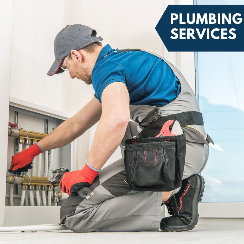 Dalzell Plumbing Company